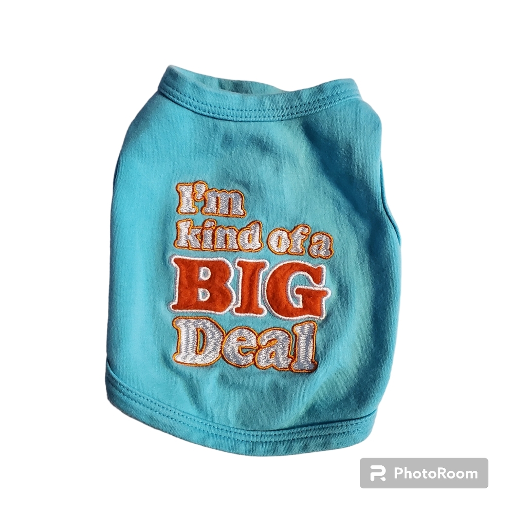 Small Dog Blue T-Shirt With Orange Lettering